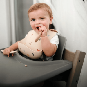 Babador de Silicone Dinos