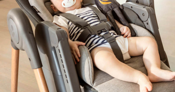 cadeira de alimentação Maxi-Cosi Minla capa